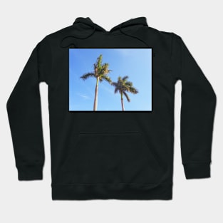 Palm tree in Florida Hoodie